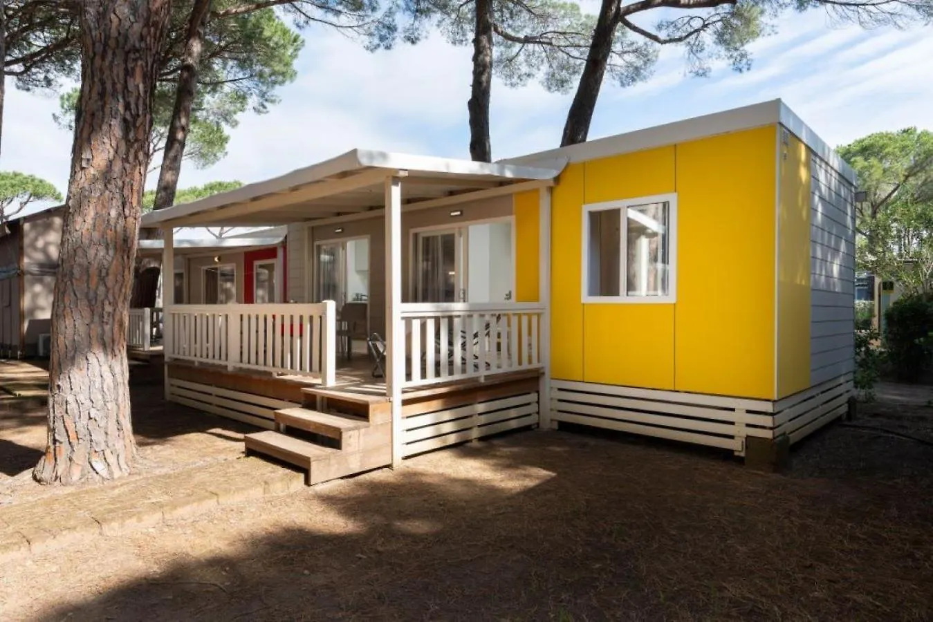 Camping Free Beach Marina Di Bibbona Parque de Campismo